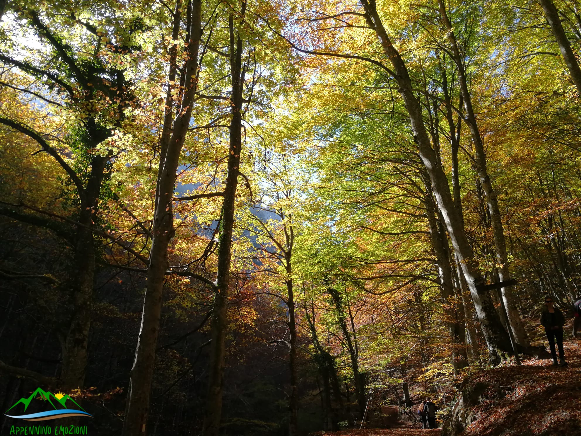 :. 24/10 – Escursione Sibillini: Le gole dell’Infernaccio in autunno